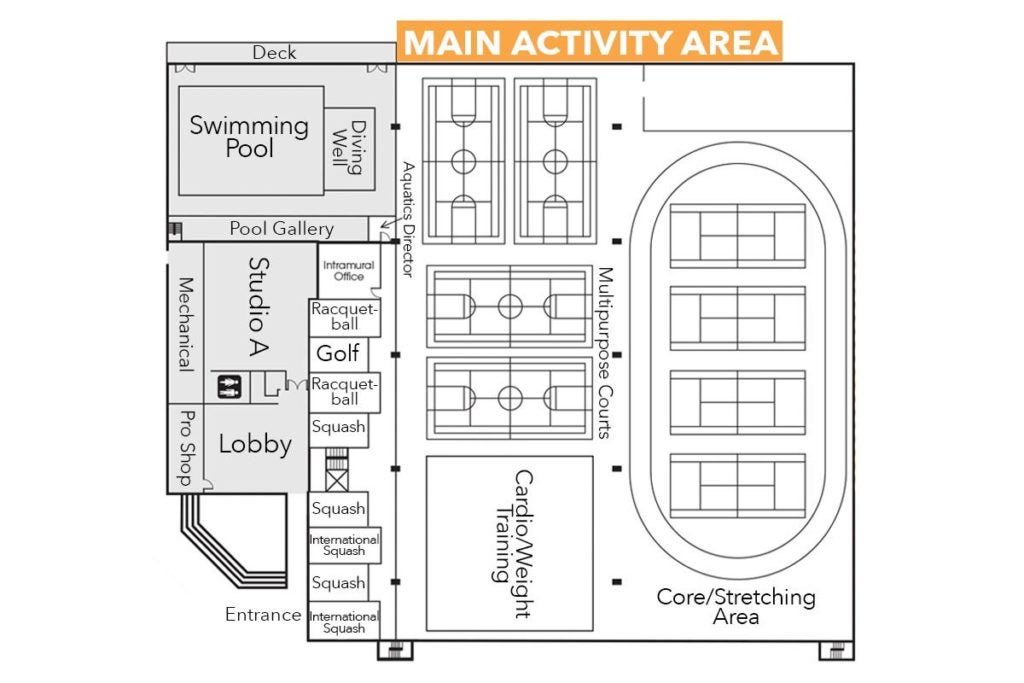Main activity area layout
