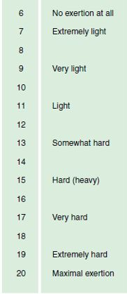The first column has numbers from 6 to 20 increasing as you go down. On the right are descriptions. "No exertion at all" next to 6, "Extremely light" next to 7, "Very Light" next to 9, "Light" next to 11, "Somewhat hard" next to 13, "Hard (heavy)" next to 15, "Very hard" next to 17, "Extremely hard" next to 19, and "Maximal exertion" next to 20.